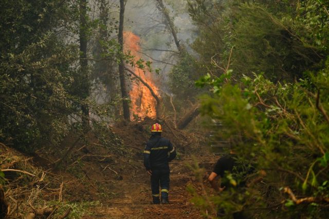 Βίλια: Κάτοικος παρακαλάει το συνεργείο του ΣΚΑΪ να μη φύγει – «Μόνο όταν έρχονται κανάλια πετάνε τα αεροπλάνα» (Video)